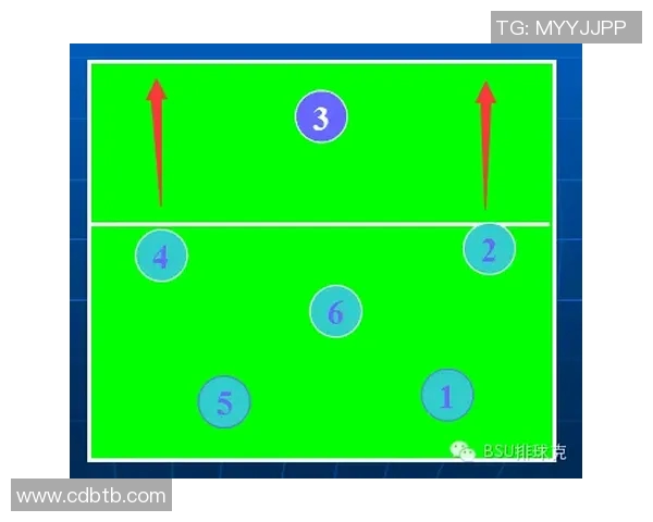 武汉排球队战术解析与对比研究揭示球队优势与不足之处