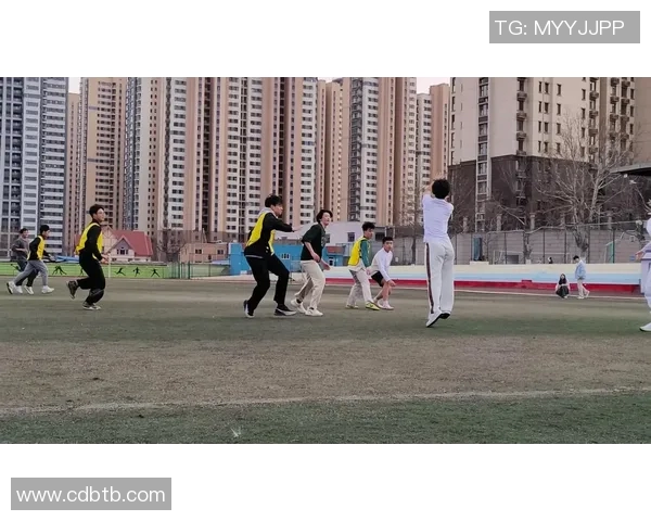 杭州飞盘队技术飞跃创新高引领全国飞盘运动新潮流