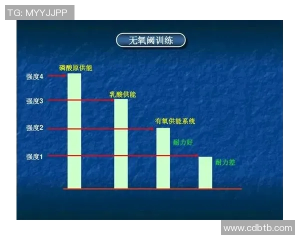 武汉羽毛球队战术深度解析与对比研究揭示胜负关键因素