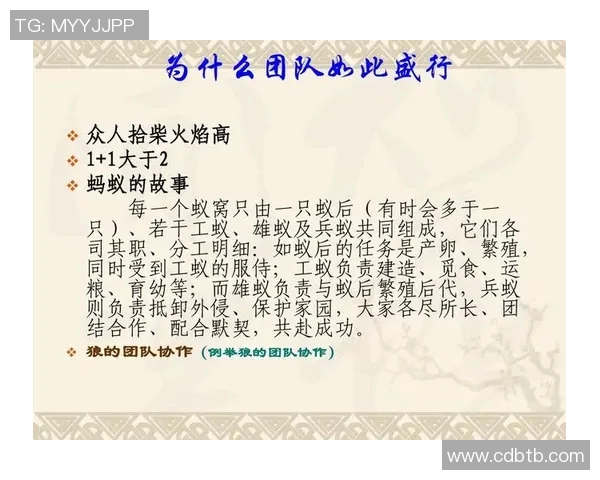 成都排球队的团队协作之道：凝聚力与默契的完美结合