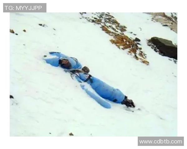 攀登人生的高峰：陈秀英与深度对话的启示与思考