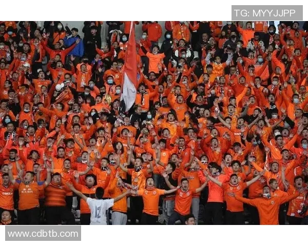 海地与加拿大激战回顾两队精彩表现引发球迷热议