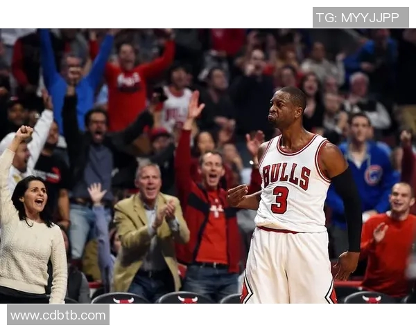 韦德与国王激烈对抗赛场精彩瞬间回顾与分析