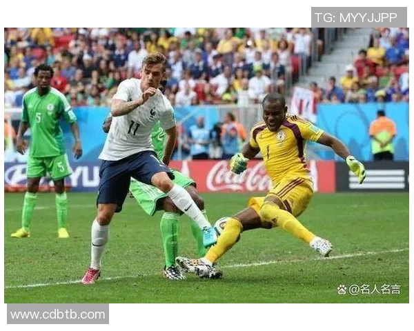 南非世法国对决南非球队精彩回顾与赛后分析