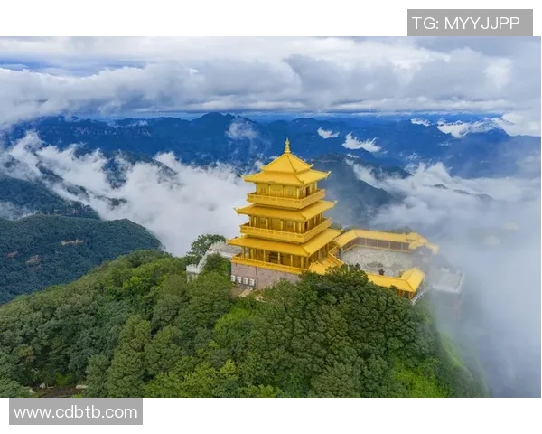 90vs足球比分即时更新让你实时掌握比赛动态与精彩瞬间