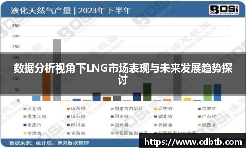 数据分析视角下LNG市场表现与未来发展趋势探讨