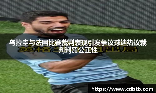 乌拉圭与法国比赛裁判表现引发争议球迷热议裁判判罚公正性